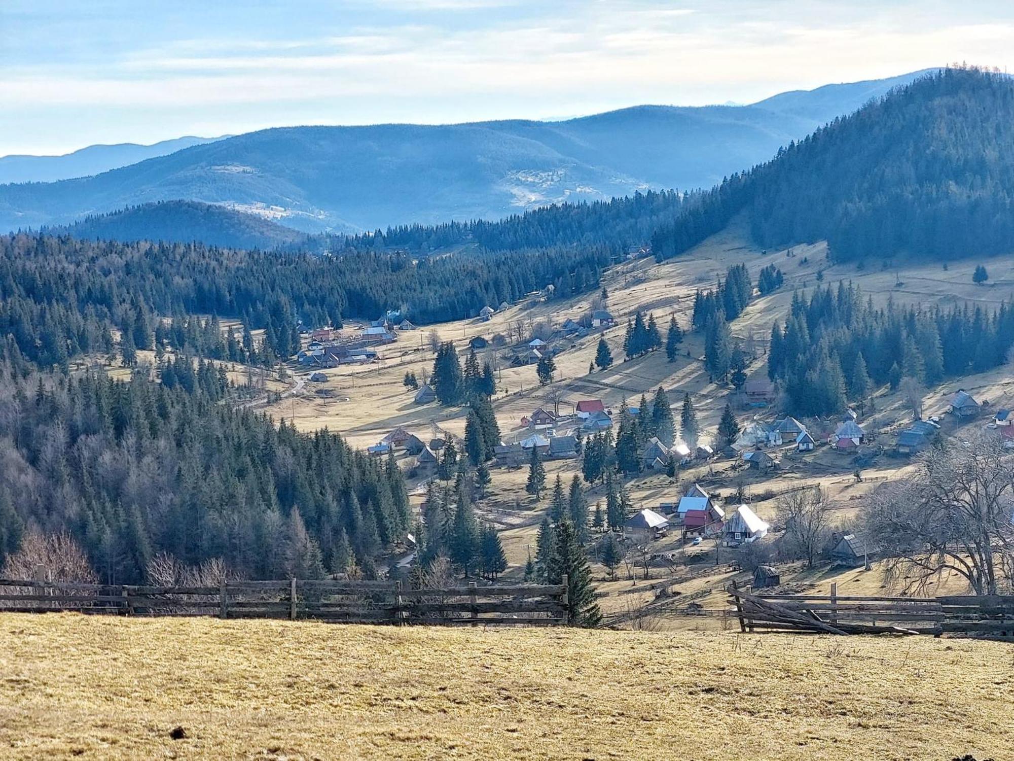 Colt De Munte Lodge *